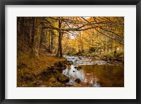 Framed Black Forest River
