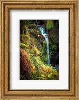 Framed Black Forest Lower Falls