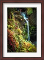 Framed Black Forest Lower Falls