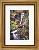 Framed Black Forest Upper Falls