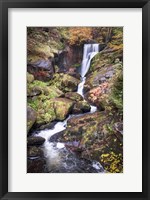 Framed Black Forest Upper Falls