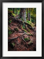 Framed Sentinels Along Our Path