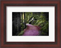 Framed Path to Serenity