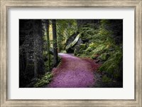 Framed Path to Serenity
