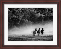 Framed Horse country