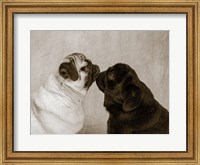 Framed Pooch Smooch