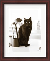 Framed Lights Cat Action