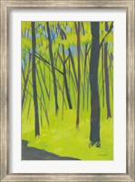 Framed Spring Woods