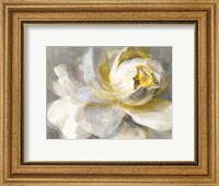 Framed Abstract Rose