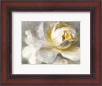 Framed Abstract Rose