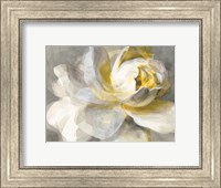 Framed Abstract Rose