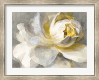 Framed Abstract Rose