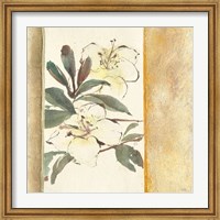 Framed Ochre Rhododendron
