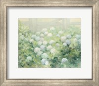 Framed Hydrangea Lane