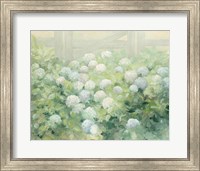 Framed Hydrangea Lane