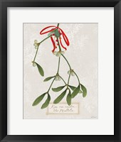 Joyful Tidings V Framed Print