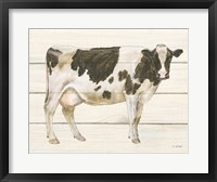 Framed Country Cow VII