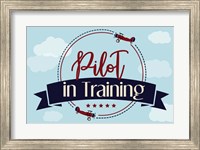 Framed Pilot in Training