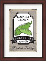 Framed Sweet Peas
