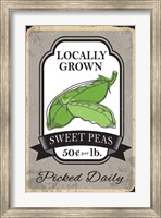 Framed Sweet Peas