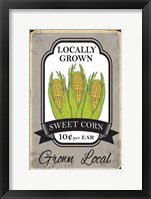 Sweet Corn Framed Print