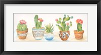 Framed Cactus Pots