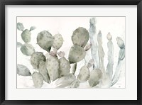 Framed Cactus Garden Landscape Black/White