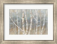 Framed Silver Birch Landscape
