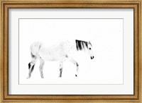Framed Equine