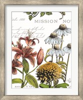 Framed Botanical Postcard Color II