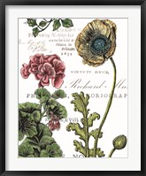 Framed Botanical Postcard Color III