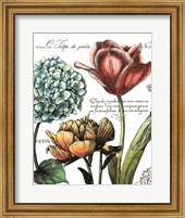 Framed Botanical Postcard Color IV