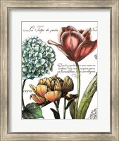 Framed Botanical Postcard Color IV