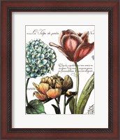 Framed Botanical Postcard Color IV