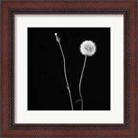 Framed Wish Flower II