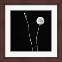 Framed Wish Flower II