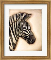 Framed Zebra Portrait