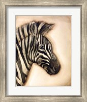 Framed Zebra Portrait