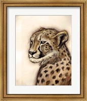 Framed Cheetah Portrait