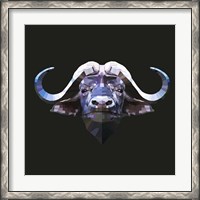 Framed Bull