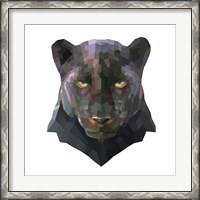 Framed Panther
