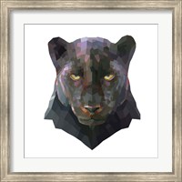 Framed Panther