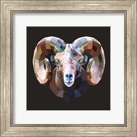 Framed Ram