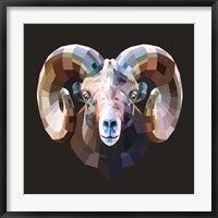 Framed Ram