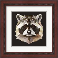 Framed Raccoon