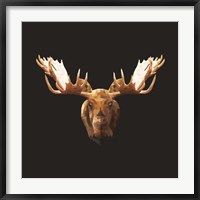 Framed Moose