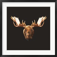 Framed Moose