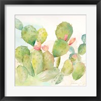 Cactus Garden I Framed Print