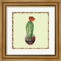 Framed Rainbow Cactus I