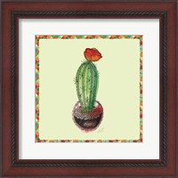 Framed Rainbow Cactus I